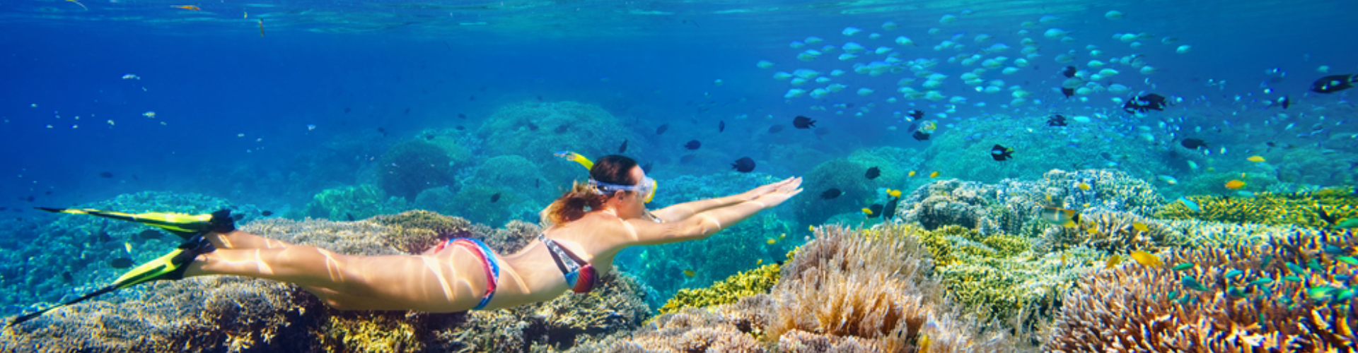 Hurghada: Diving or Snorkeling Boat Tour with Lunch & Drinks